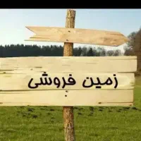 زمین 300 متری جنوبی علویه