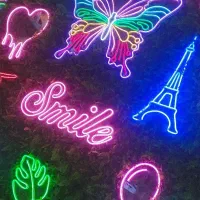 نئون فلکسی زیر قیمت بازار