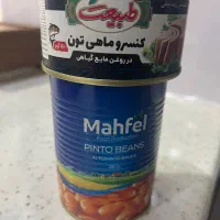 تن ماهی طبیعت