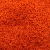 جوسهنددیم|گل و گیاه طبیعی|آبکوه, |دیوار