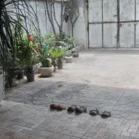 خانه حیاط دار|فروش خانه و ویلا|ارطه, |دیوار