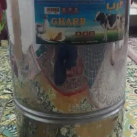 فروش کره گیر  درحد نو