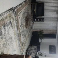 دو عدد فرش ۱۲متری