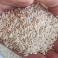 برنج درجه1 علی کاظمی