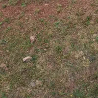 زمین مغازه تجاری ۱۵ متری اقبالیه سنددار