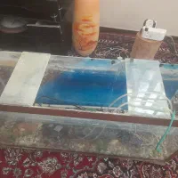 اکواریوم  همراه باماسه کف طول ۱۰۰ عرض۳۰ ارتفاع۵۰|ماهی|دوگنبدان, |دیوار