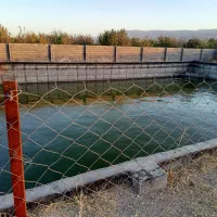 گاوداری گلخانه  13هزار متر چناران|فروش دفتر صنعتی، کشاورزی، تجاری|چناران, |دیوار