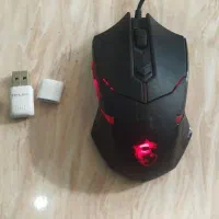 موس و دانگل|قطعات و لوازم جانبی رایانه|نهاوند, |دیوار