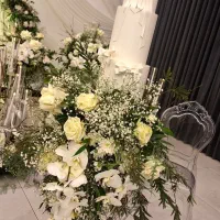 خانه عقد و عروسی پاپیون