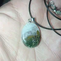شجر دریایی طبیعی شرط کارشناسی همراه گردنبند چرم