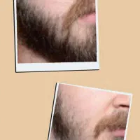 ریش دار شو تا ریشه دار شوی