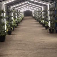 برقکار صنعتی|خدمات پیشه و مهارت|بندرعباس, |دیوار