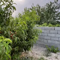 زمین چهاردیواری با بهترین لوکیشن