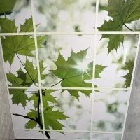 فروش و اجرا سقف کاذب و دیوار پوش و قرنیز نوری|خدمات پیشه و مهارت|نوشهر, |دیوار