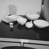 ظرف پذیرایی