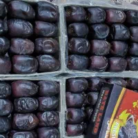 خرما درجه یک روداب