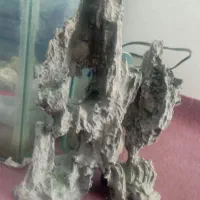 اکواریوم