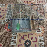 قفس سهره|لوازم جانبی حیوانات|تهران, قیام|دیوار