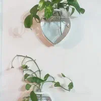 گلدان دیواری شیشهای|گل مصنوعی|لنگرود, |دیوار