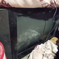 دیگ با تلویزیون با قیمت مناسب|ظروف پخت‌وپز|زاهدان, |دیوار