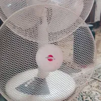 پنکه پارس خزر|پنکه و تصفیه‌کنندهٔ هوا|زاهدان, |دیوار