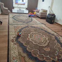 فرش9 متری|فرش|مشگین شهر, |دیوار