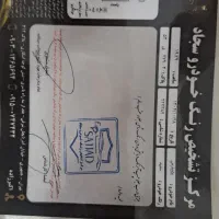 پژو پارس مدل ۹۸|خودرو سواری و وانت|فشاپویه, |دیوار