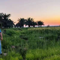 باغ-در-نمازگاه