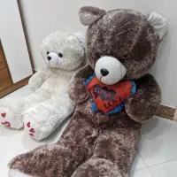 دو عدد خرس قهوه ای خیلی بزرگتره