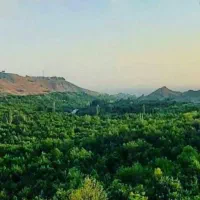 اجاره سوئیت و ویلا باغ بوژان به صورت روزانه