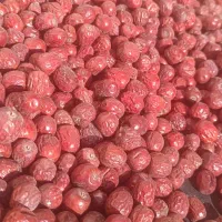 عناب تازه