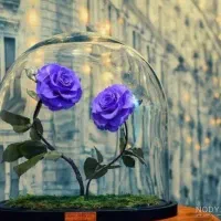 صفر تا صد ضمانت وام ازدواج کد خدمت hm1265