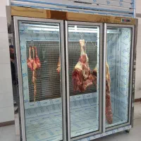یخچال فروشگاهی - یخچال سوپرمارکتی - یخچال قصابی|فروشگاه و مغازه|رشت, حمیدیان|دیوار