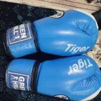 دستکش بوکس چرم