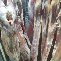 فروشنده قصابی