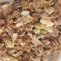 انجیر چیپسی|خوردنی و آشامیدنی|قم, شهرک مهدیه|دیوار