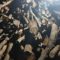 زغال کبابی درجه یک|عمده‌فروشی|اهواز, فدک|دیوار