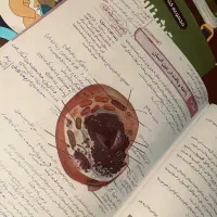 کتاب کنکور