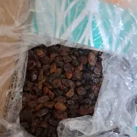 کشمش ابهر عالی|خوردنی و آشامیدنی|اهواز, سپیدار|دیوار