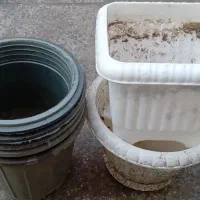 تعدادی گلدان کارکرده سالم|گل و گیاه طبیعی|رودسر, |دیوار