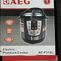 زودپزبرقی