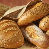 استخدام کارگر- فِربان و نظافتچی