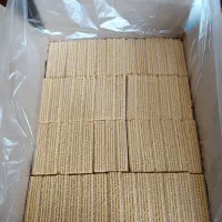 استخدام نیروی کار جوان و فعال در تولیدی ویفر