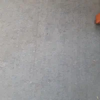 فرش فانتزی|فرش|رشت, سعدی (تختی)|دیوار