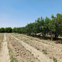 3000 متر چهار دیواری  با قابلیت صنعتی و ویلایی|فروش زمین و ملک کلنگی|رباط‌کریم, شهرک صنعتی ده‌حسن|دیوار