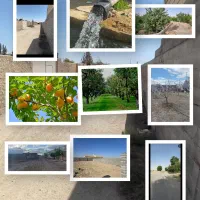 چهاردیواری-باغی-هر-متراژهای-که-بخواهی