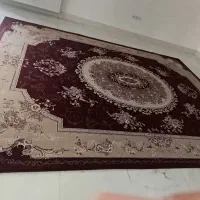 فرش قرمز و کرم|فرش|سرپل ذهاب, |دیوار