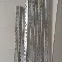 پایه رگال