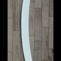 بال عقب شاهین