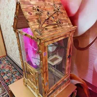 قفس چوبی مرغ عشق فنچ عروس هلندی طوطی برزیلی سنجاب|لوازم جانبی حیوانات|تهران, نیروی هوایی (پیروزی)|دیوار